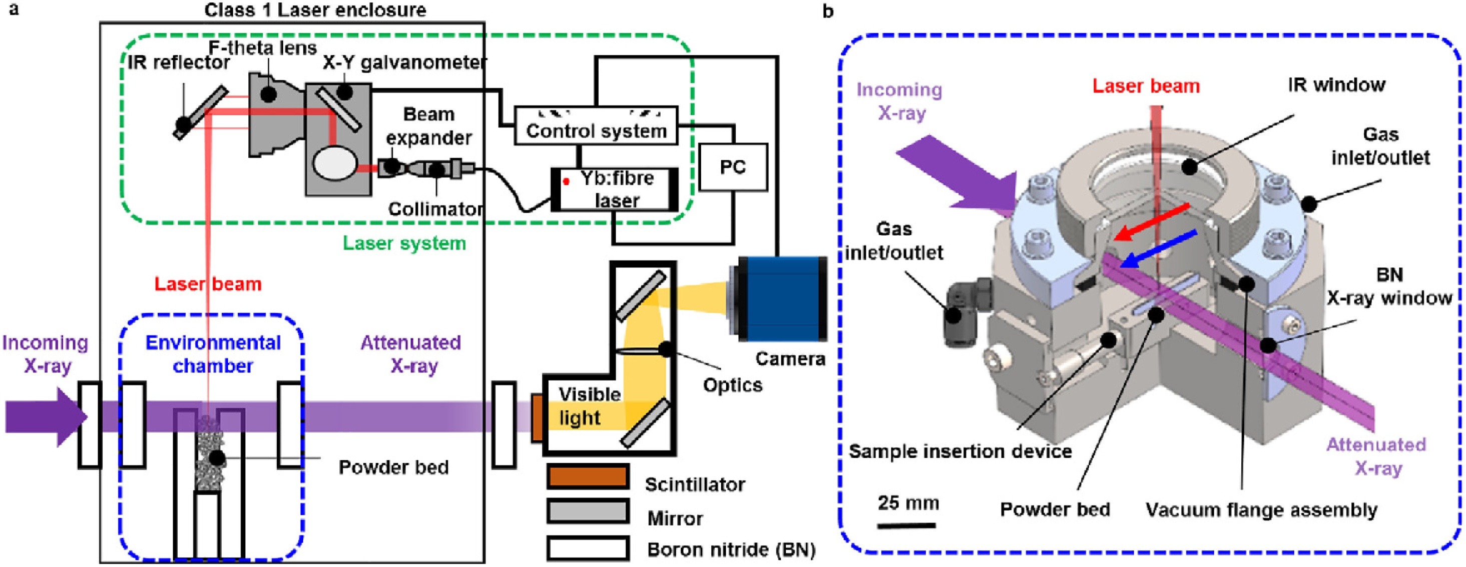 Laser-matter interactions in additive manufacturing of stainless steel SS316L and 13-93 bioactive glass revealed by in situ X-ray imaging